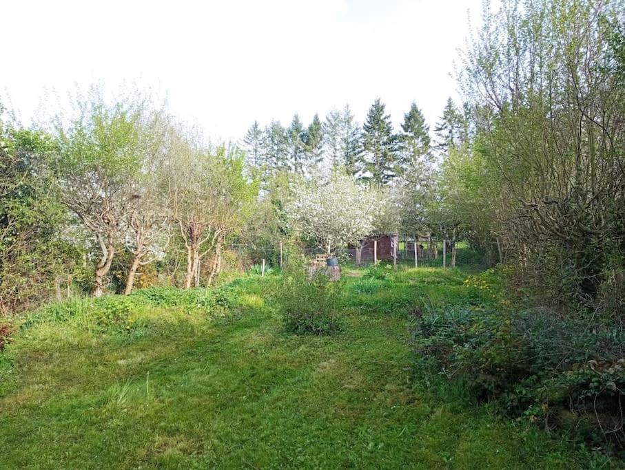 Maison De Caractere A 10 Minutes Du Zooparc Beauval Villentrois-Faverolles-en-Berry Dış mekan fotoğraf