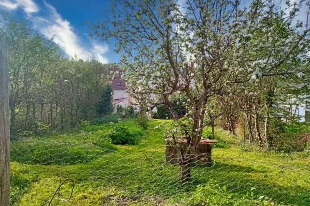 Maison De Caractere A 10 Minutes Du Zooparc Beauval Villentrois-Faverolles-en-Berry Dış mekan fotoğraf