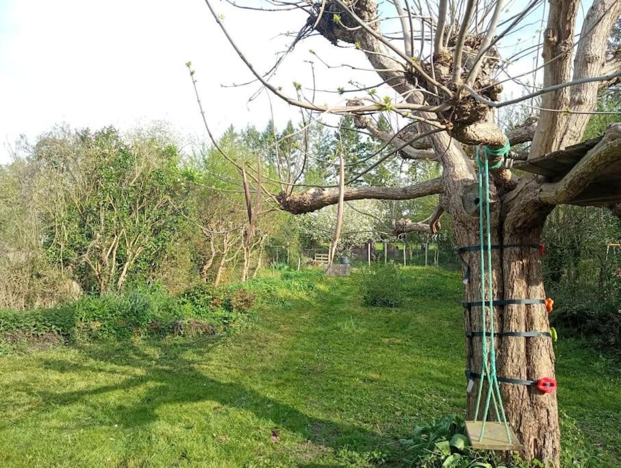 Maison De Caractere A 10 Minutes Du Zooparc Beauval Villentrois-Faverolles-en-Berry Dış mekan fotoğraf